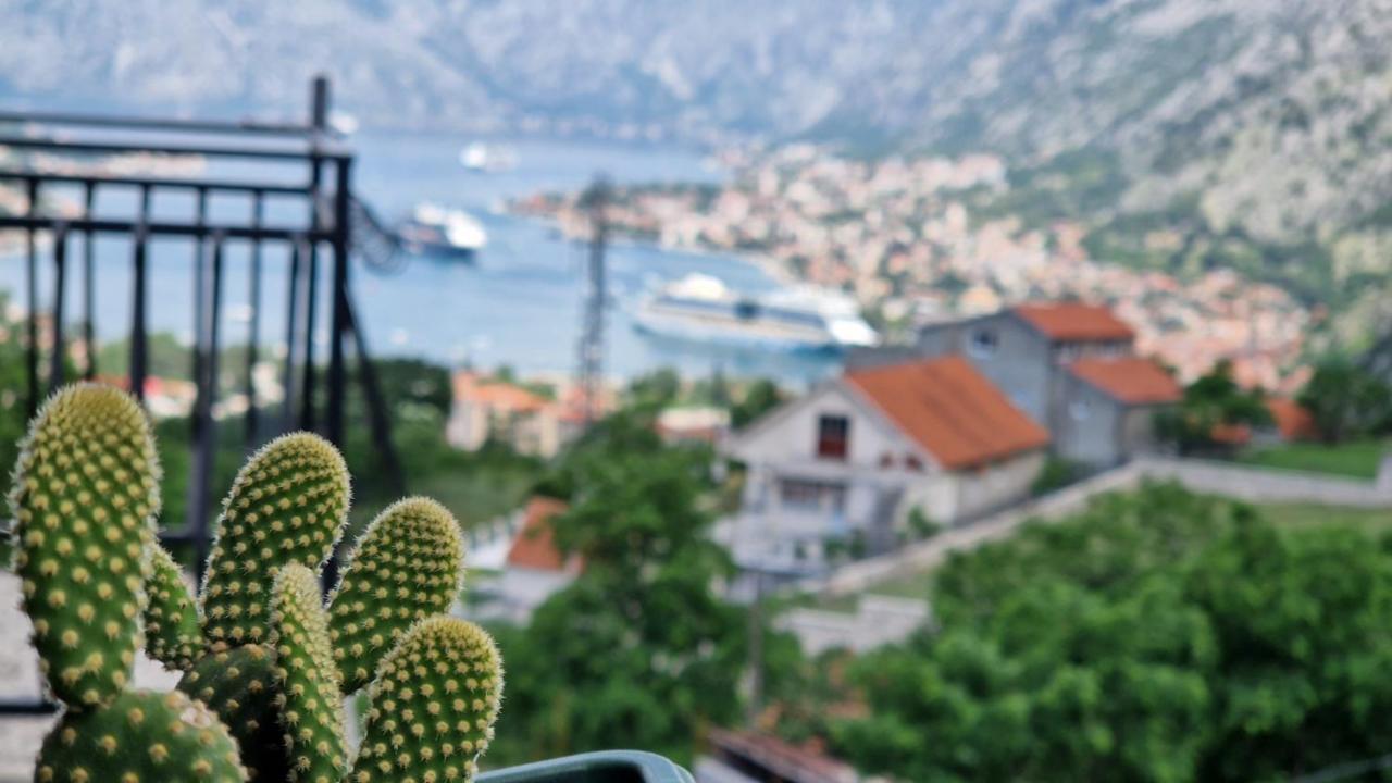 Anastasija 2 Apartment Kotor Exterior foto
